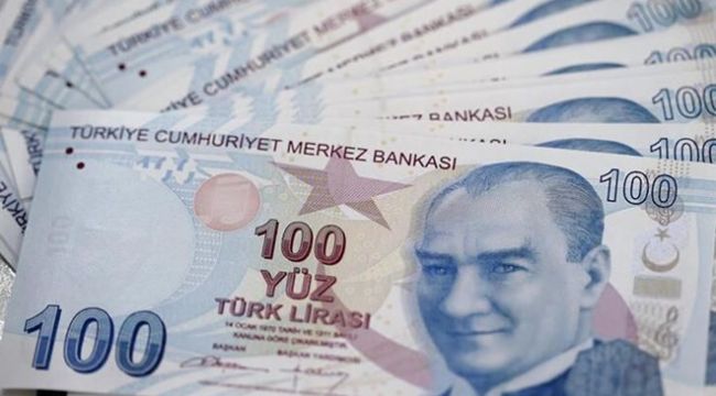 Yeni 100 liralar tedavüle çıkıyor