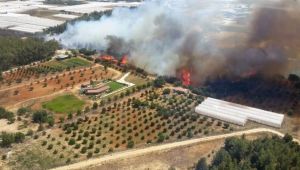 Antalya'da orman yangını