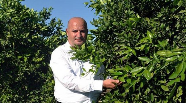 ‘Salgınla birlikte tarımda ithalat silahı geri tepti’
