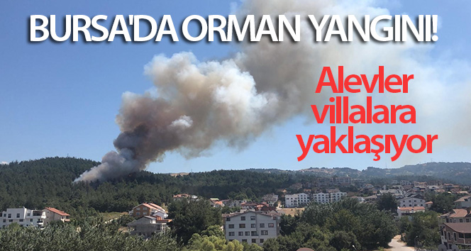 Bursa'da orman yangını...Alevler villalara yaklaşıyor