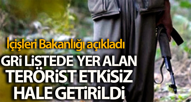 İçişleri Bakanlığı açıkladı: 'Gri Liste’de' yer alan terörist etkisiz hale getirildi