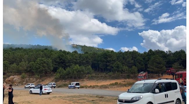 İstanbul'da orman yangını