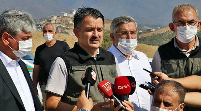 Son dakika... Hatay'da 5 gündür süren orman yangını kontrol altına alındı
