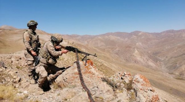 Van'da Yıldırım-10 Norduz operasyonu başlatıldı