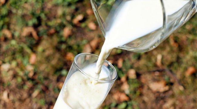 1 litre sütün fiyatı 9 liraya dayandı