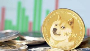 Thodex'in ardından bu kez 1 milyar liralık Dogecoin vurgunu! 12 kişi hakkında yakalama kararı çıkarıldı