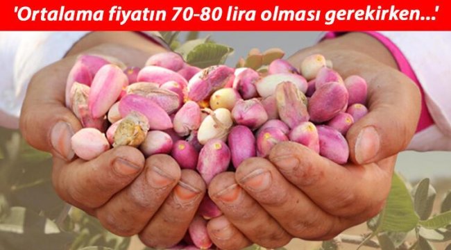 Antep fıstığında rekolte düştü! Tarlada 28, tezgahta 120 TL...