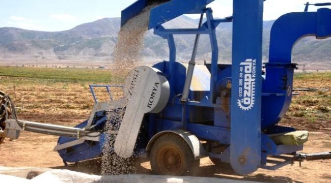 Bitlis'te bu yıl 40 bin ton fasulye hasadı bekleniyor