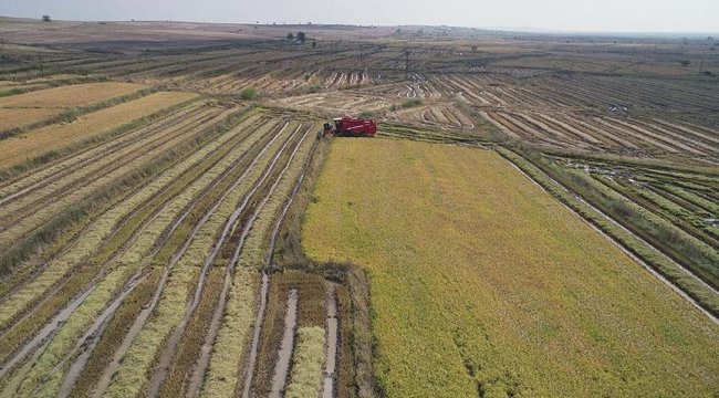BM Gıda ve Tarım Örgütü'nden dijital tarım stratejisine destek