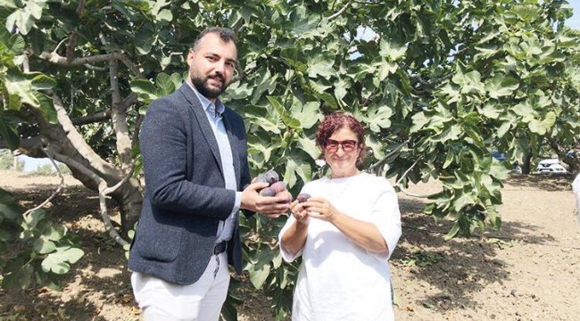 Bursa siyahı Çin yolunda