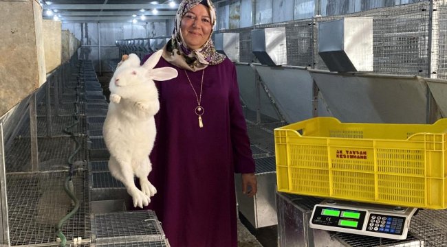 Emekli kadın polis hobi olarak başladığı tavşan üretiminde devlet desteğiyle büyüdü