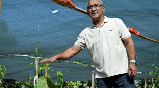 Emekli okul müdüründen tropikal meyve bahçesi