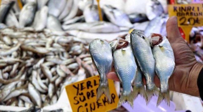 Havalar bozdu Karadeniz’de ’çinekop’ patlaması yaşandı