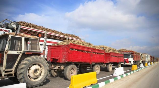 Kazım Taşkent Eskişehir Şeker Fabrikası'nda pancar alımı başladı