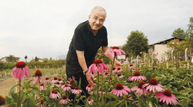 Ordu’ya aromatik bitki dopingi