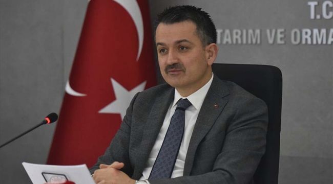Bakan Pakdemirli: Zeytin üretiminin yüzde 32 artacağı tahmin ediliyor