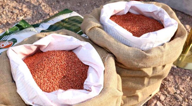 Büyükşehir'den selzede çiftçiye tohum desteği
