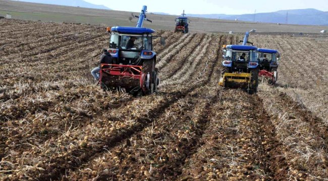 Gümüşhane'de patates hasadı tarla günü düzenlendi