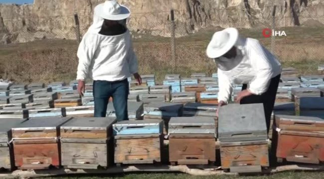 Kuraklık arıcıları olumsuz etkiledi