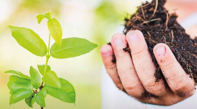 Samsun ve Hatay’a iki yeni gübre fabrikası kuruluyor