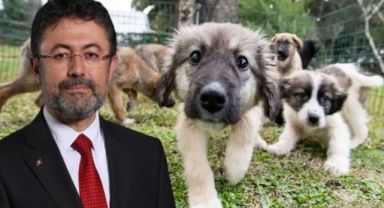 Bakan Yumaklı 'katliam yasası'nı savundu, belediyeleri hedef aldı