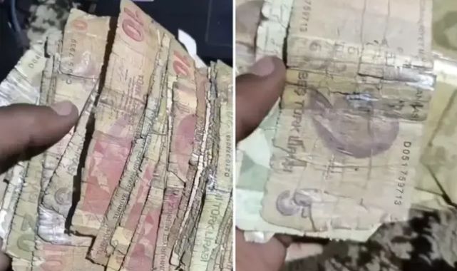 Komşuda kullanılan Türk parasının geldiği hale bakın